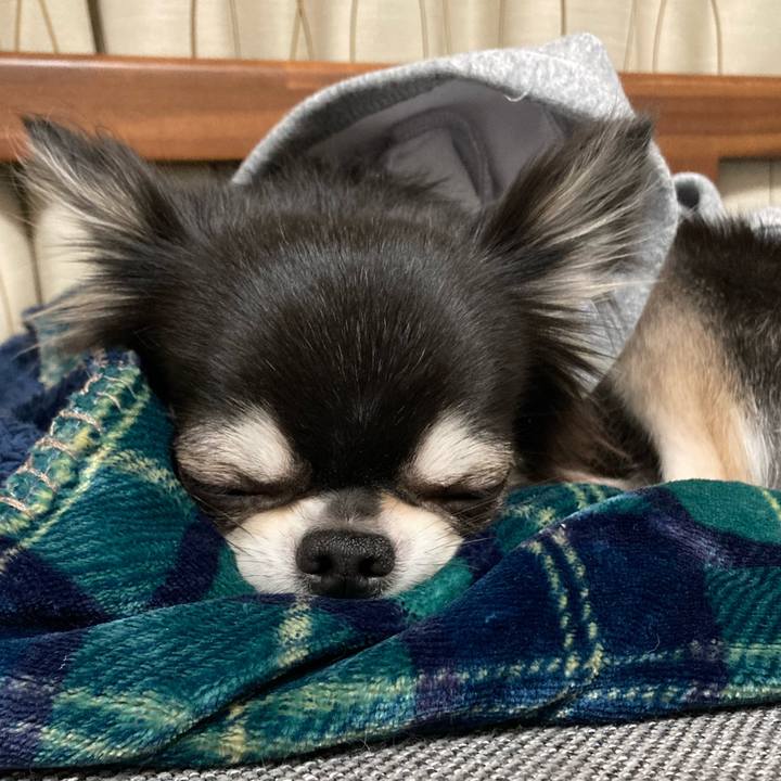 C3da2437 6324 4d67 8d75 062399e72be2 1641818245380