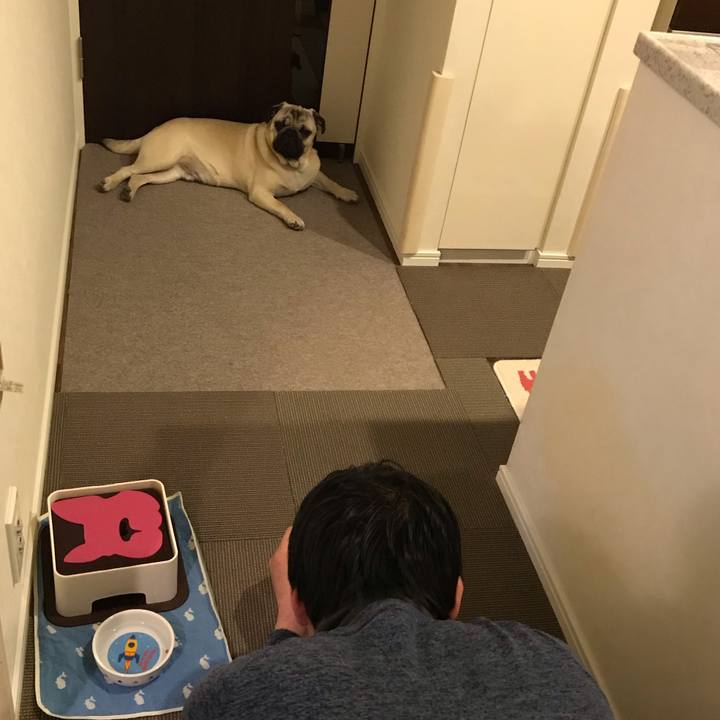 C3da5801 8cef 4915 bf95 28dc306dfac0 1547681281316