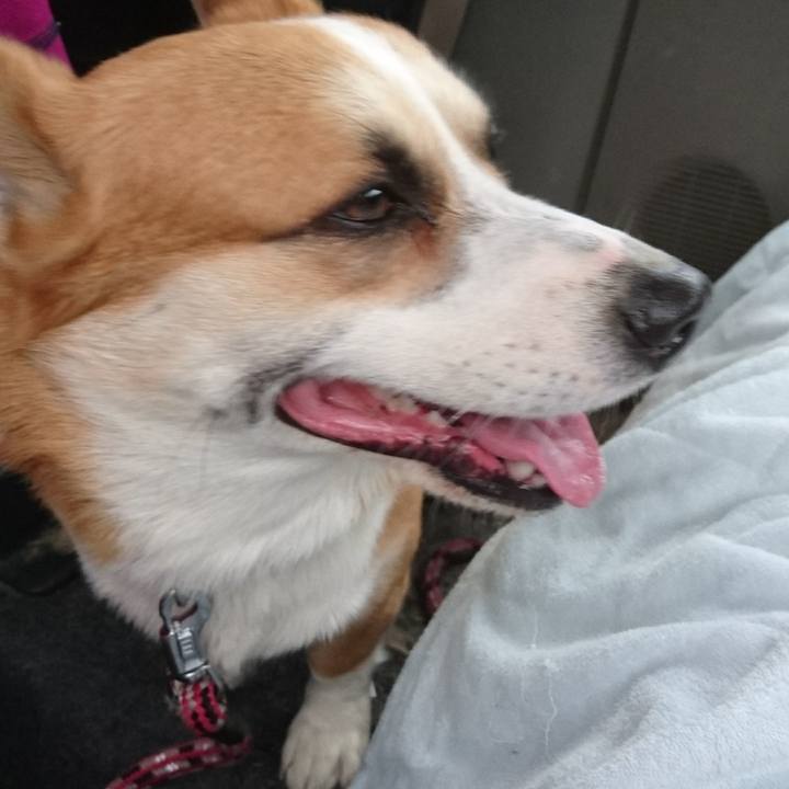 C3da60fb 1a49 4897 a707 88fec9c72ff9 1613450214423