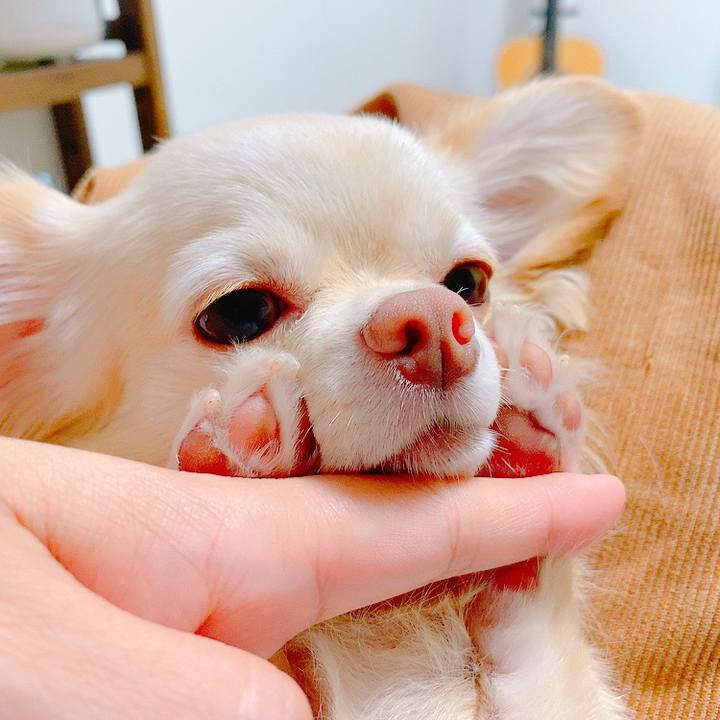 C3da7283 ed08 4ee9 ad53 46d079eca3ab 1634104686942