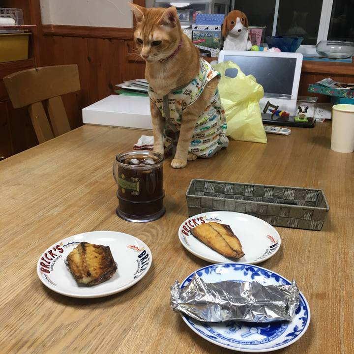 C3dad62e f001 447d 8478 68b9b5bde6ef 1514379310094