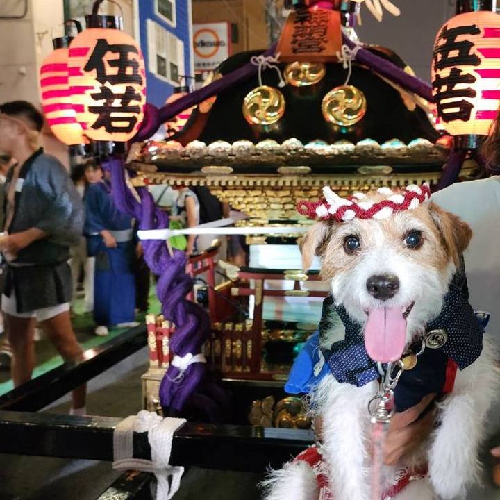 C3dad94f c5ce 4c0b aa34 5489a3efae82 1725836453096