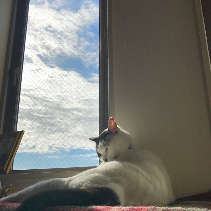 C3db0808 b805 446c 8411 89d7738b164c 1511418041939