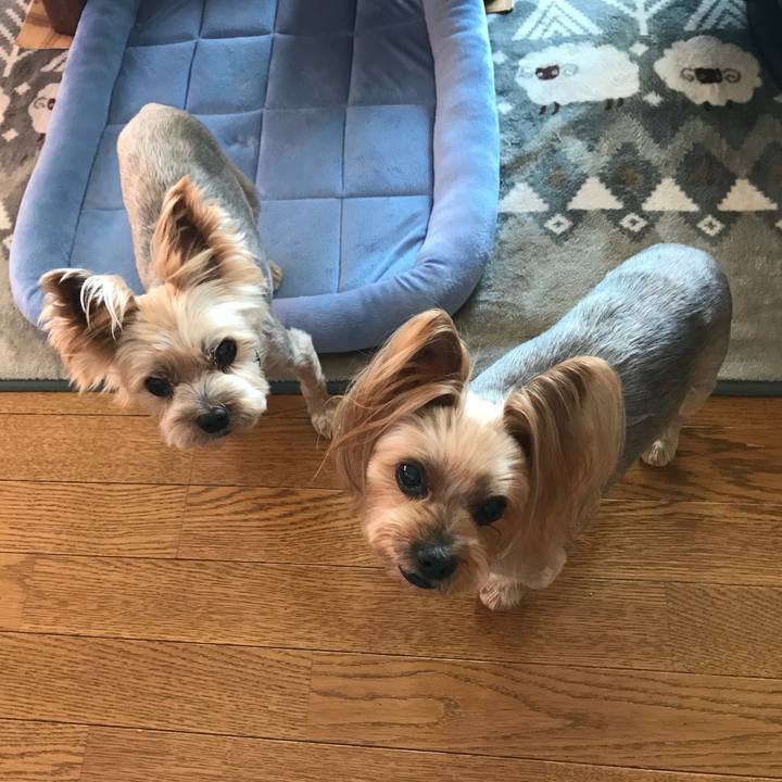 C3db25ba 8514 454e bb39 a032cb1a085b 1760861772395