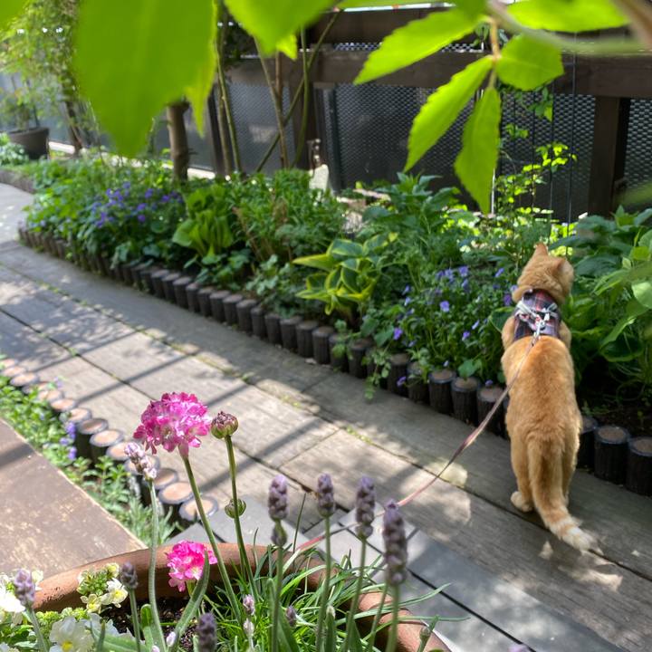 C3db27ec 2ed1 43dc 8f53 e4cf93b17d26 1682650772537