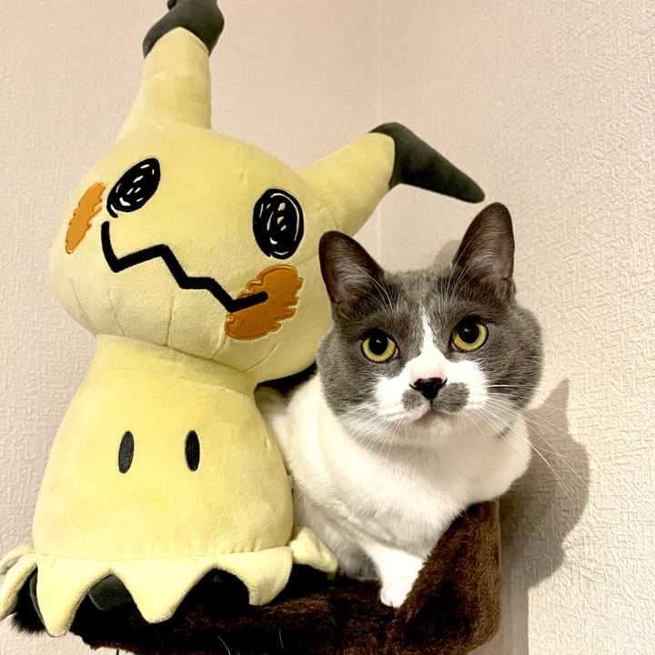 C3db3edc e4ce 4735 b3fa 402b34f485a9 1672398286116