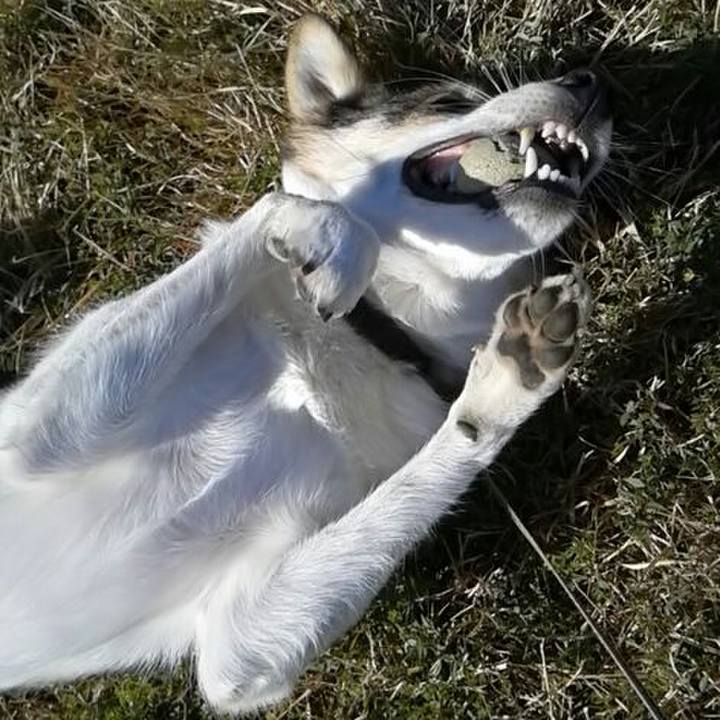 C3db4ac9 e1c3 4e33 88b9 412b17fb6400 1513130576159