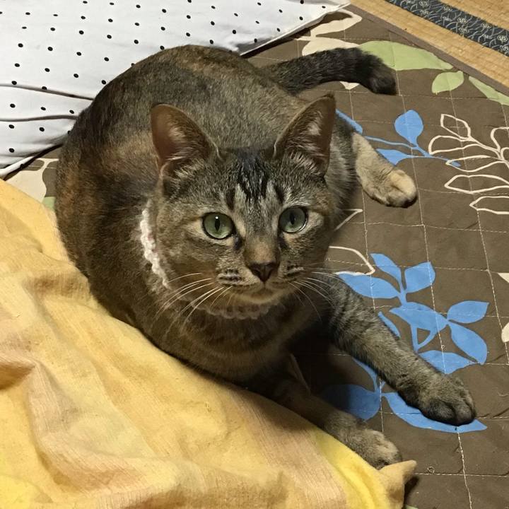 C3db4af1 133a 4de7 b491 7b2da91a1e6a 1652952829541