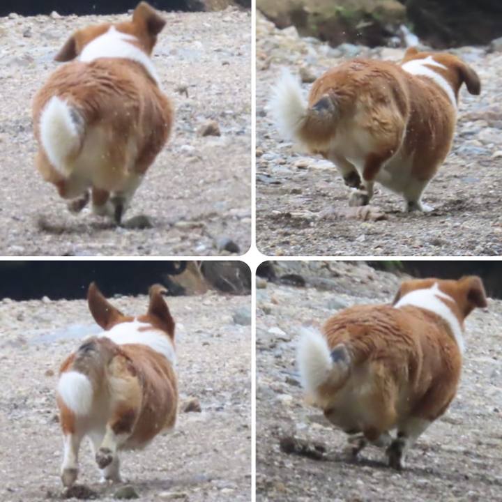 C3db5e06 4b3d 4b05 b615 3822d1237ab0 1721954705330