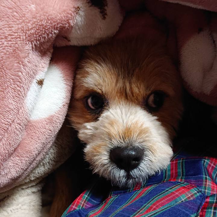 C3db6d7d 2a1d 4fd6 8d2f e04e3a3dbbb7 1584366548745