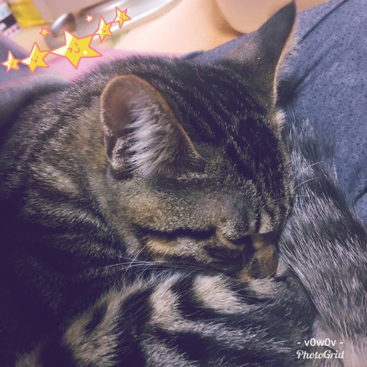 C3dba5d4 5484 4cbd b2e9 9571c40d7c83 1543850038820