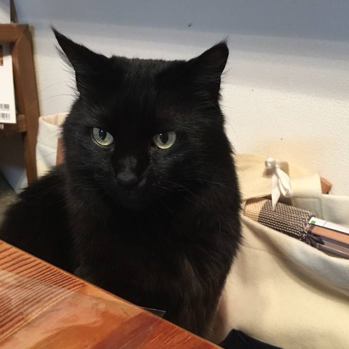 C3dbbe9d e882 4644 b055 e4ce50a64862 1526039369992