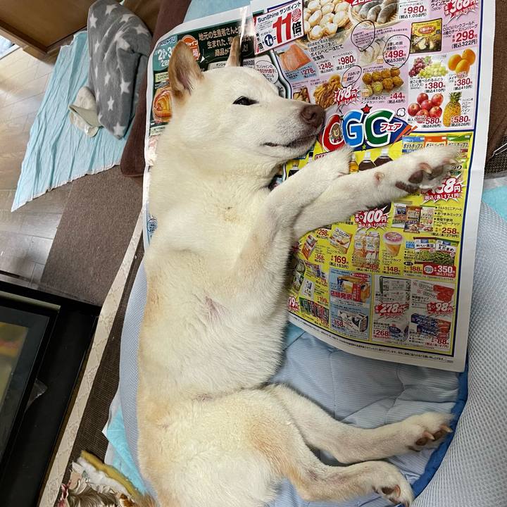 C3dbe29b 2ae8 4b25 b699 85740f44870a 1657158116158