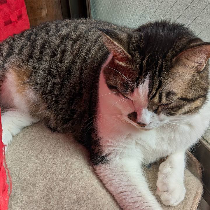 C3dbf43a 3aa5 4a9b b3a6 c70443659683 1728276319653