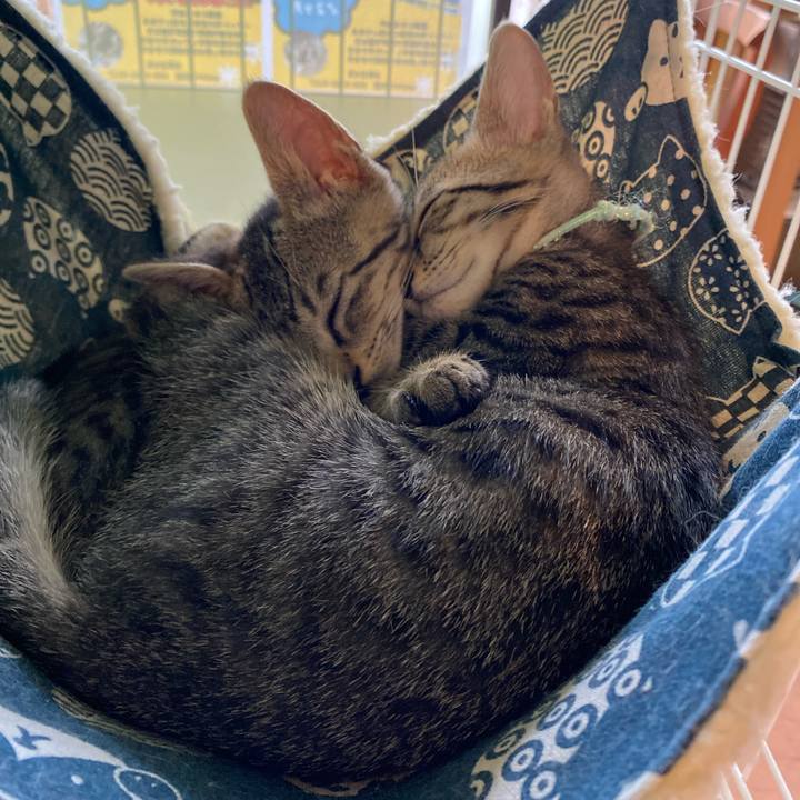 C3dc2580 708a 42ed 9939 d1b3d6e5fb8d 1721891921883