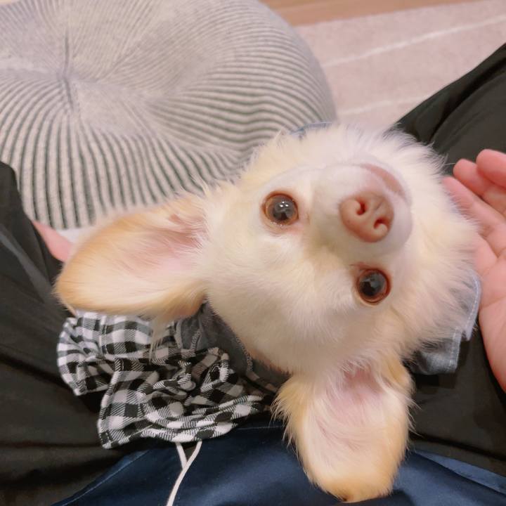 C3dc29c9 1e91 4a75 94f4 d67ab47acd7b 1688990786308