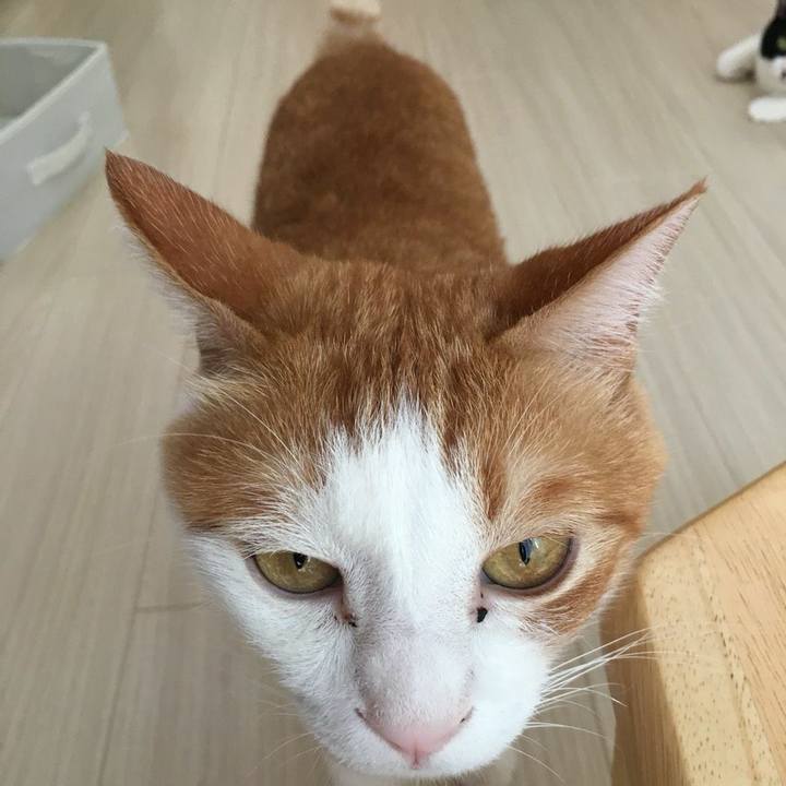 C3dc339d b02b 48f2 b6a0 82dfc622f322 1534147278117