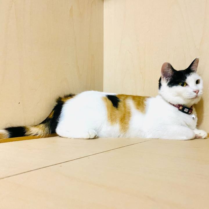 C3dc3c63 176b 48bb 9798 e64784123bba 1659537753401