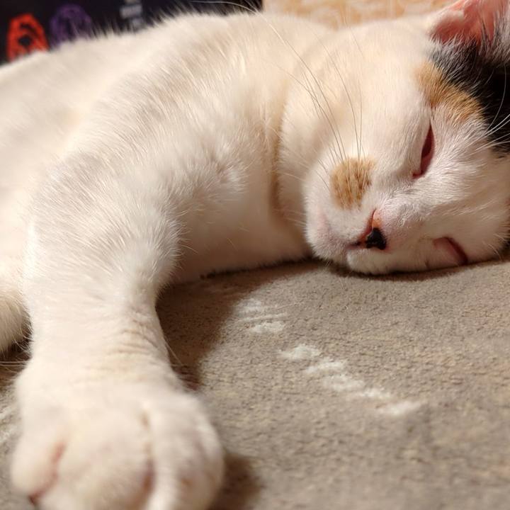 C3dc3fc4 d15e 4275 af07 c4351bb1b7cc 1739446539189