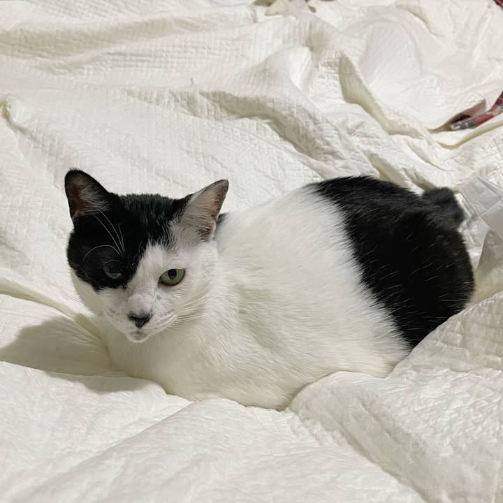 C3dc9680 5105 4312 a037 ac226ec0dd55 1766040457155