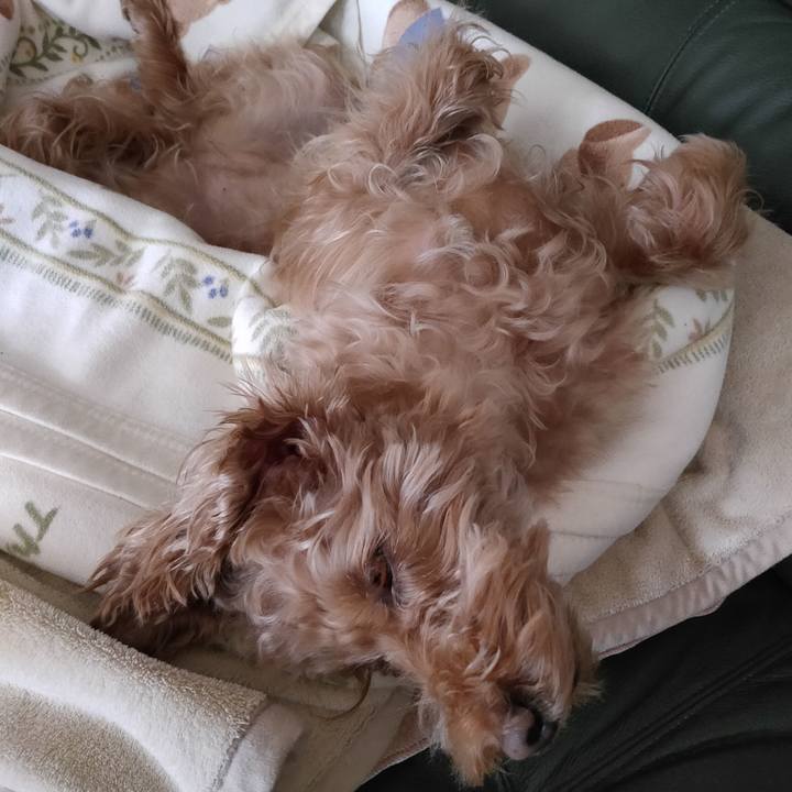 C3dc9927 a2b3 4f5b 8c37 5d4041aa361c 1581460794809