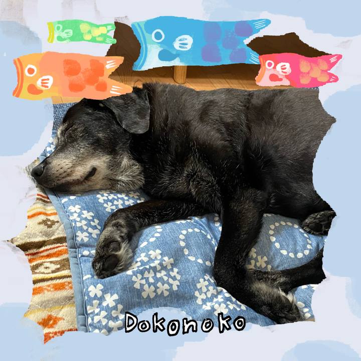 C3dca430 e162 428e 9537 f605c56f2021 1749600470252