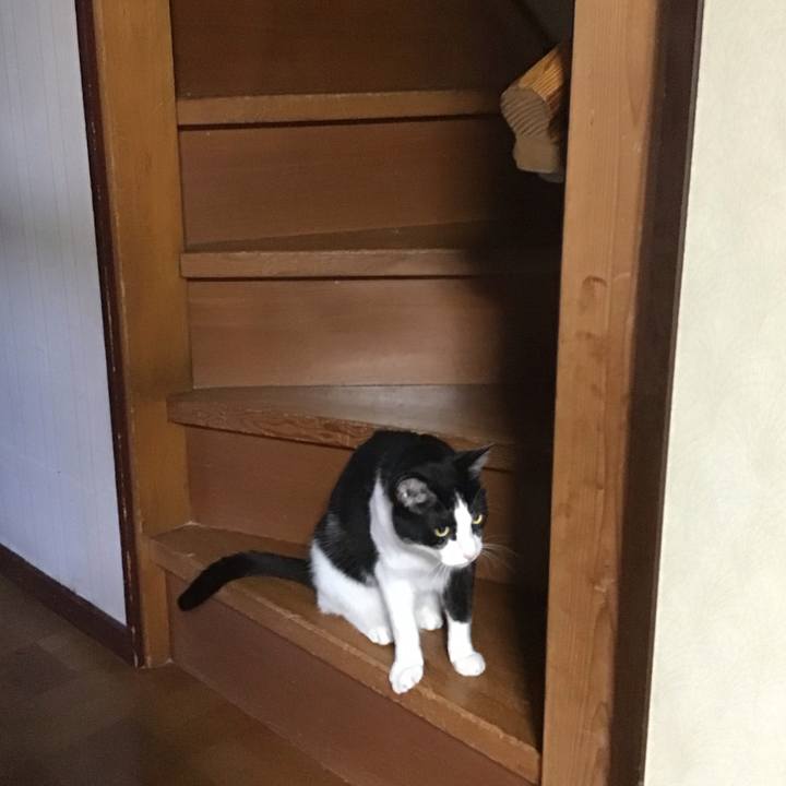 C3dcaf38 baef 46b5 bd50 6b89948522cb 1718279011861