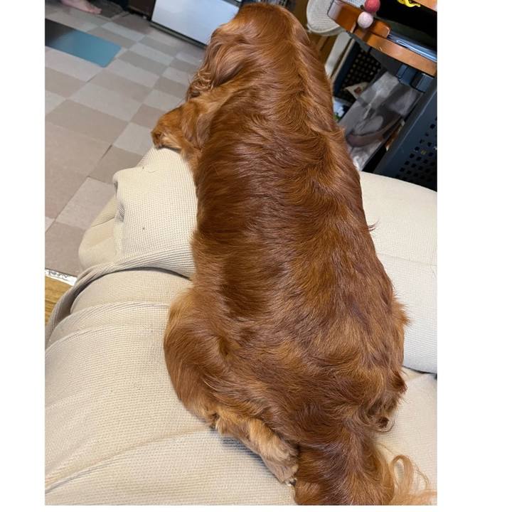 C3dcbb24 144c 412a 8620 0f8bed088dc8 1656973577071