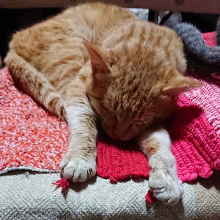 C3dccaf4 e750 490f 9385 211bee9dcaaf 1554896838881