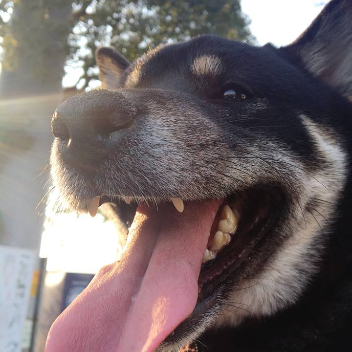 C3dd0025 e61d 4b23 93ad 182912f52e3d 1519485201197