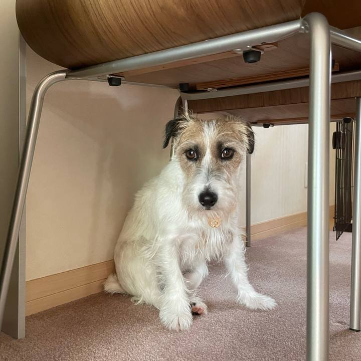 C3dd05ec d4f4 4d7c 9665 0cf1f21204c3 1654237487894