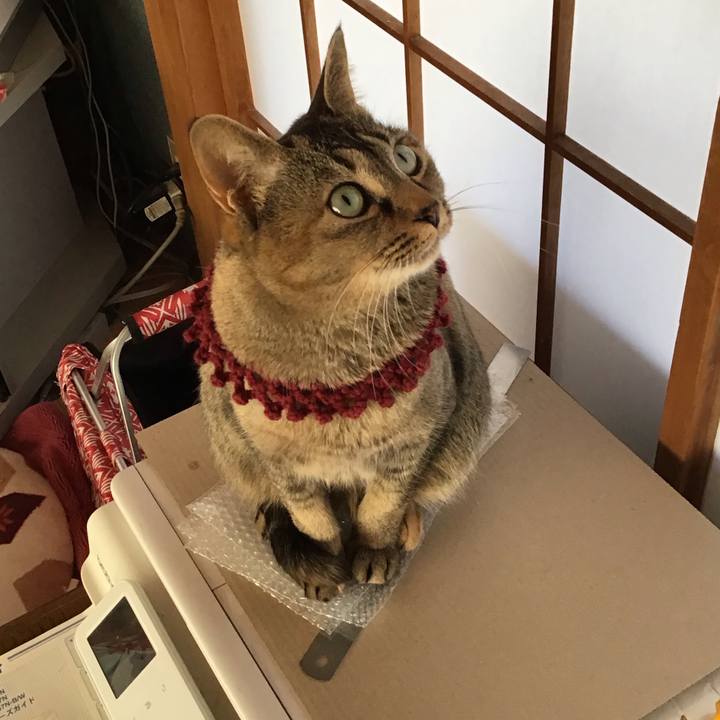 C3dd46ce d7b1 49fa af5e 34ea075fc34b 1614218123355