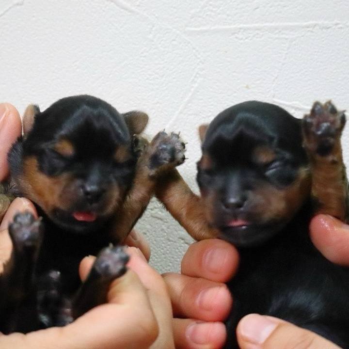 C3dd5461 8a1c 4f04 841f 874dfeaedf26 1721012270551