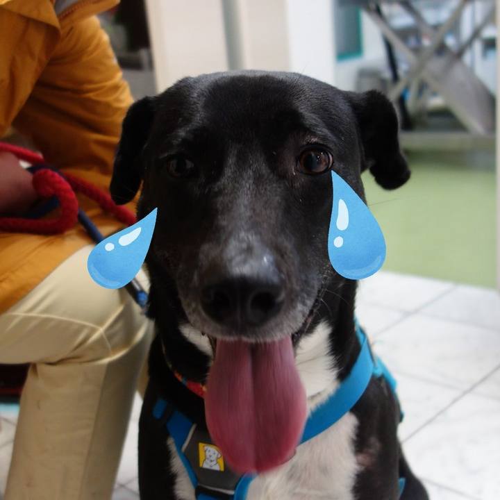 C3ddb132 d866 43b5 8508 bfe3df8a716f 1616238364837