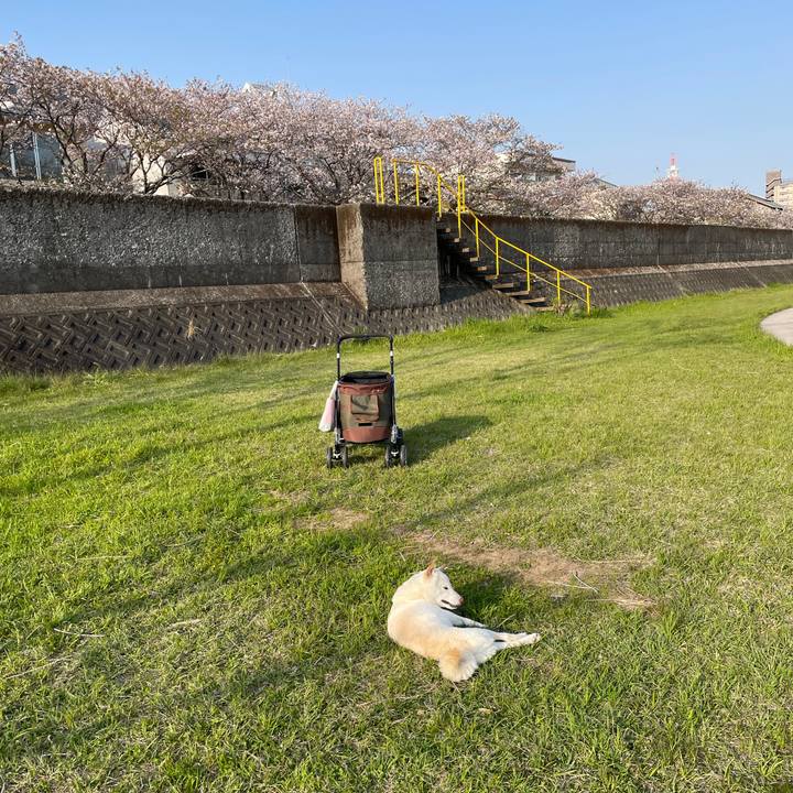 C3ddb24c 0c28 4558 9c5a 0f803455e01d 1649332232834