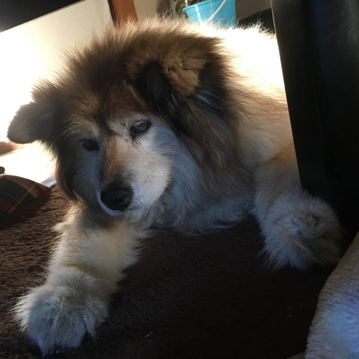 C3ddd008 297e 4bff 8c09 0e4acd193a19 1569716591493