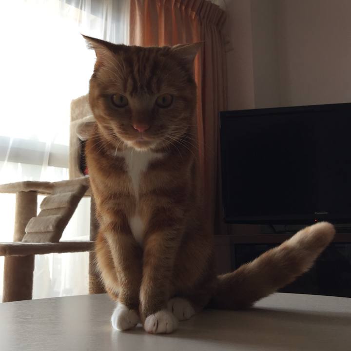 C3dde20f 8d85 49ca b89a 81c585b70250 1521262373570