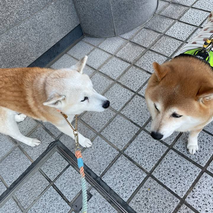 C3de3207 3743 44c7 9767 0d177bd5e96a 1672800138948