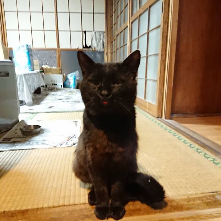 C3de816a 87d3 4ded a7b4 aaf6eeaf528c 1625053015334