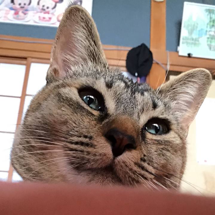 C3deb003 51d6 4df1 86f1 bf7df7b8b4ef 1582516052280