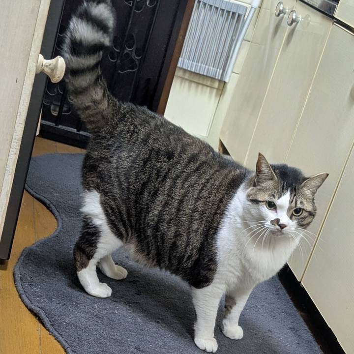 C3dec99e 8926 459b ae0f df09b5b8cb52 1770894171117