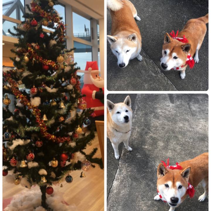 C3def48e bda5 434e aeb8 0cc88ef2bb2d 1514154943920