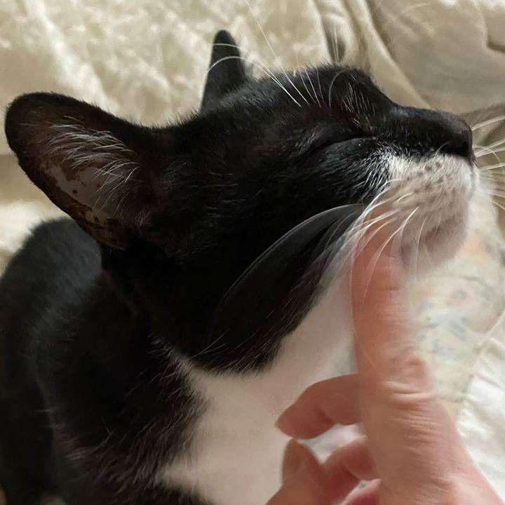 C3df1b34 5acd 4379 a462 c9ea47b31e3e 1618664512868