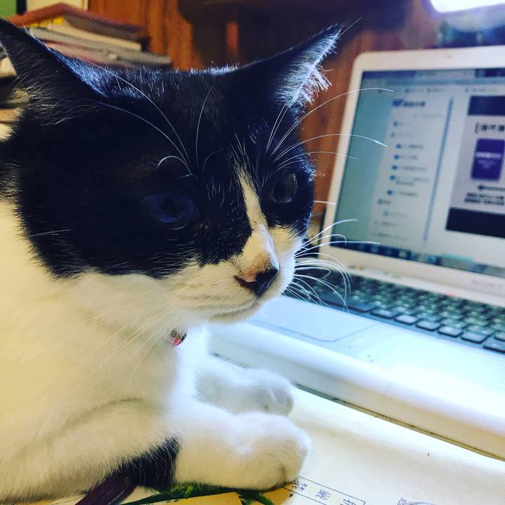 C3df2b75 840a 4e7e b148 85f8eb971572 1563365240007