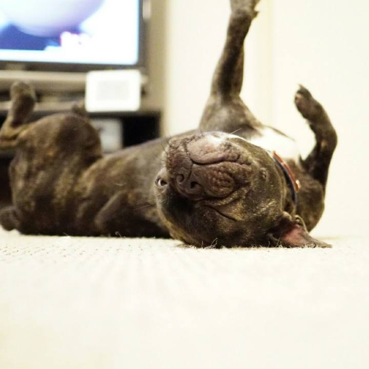 C3df3a2c 5874 4ea1 a5ca 58c2a69894d7 1531053402550