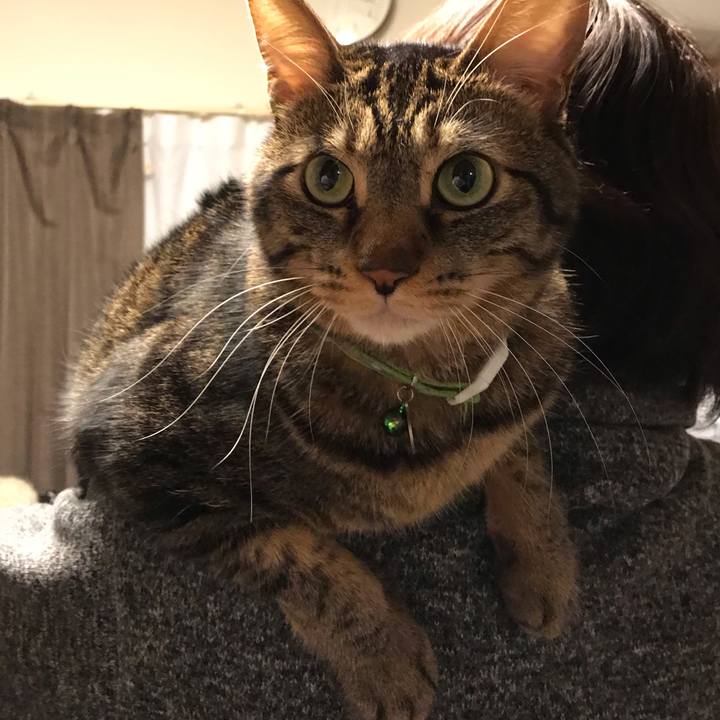 C3df44d9 55cf 46f9 ba2a 946f562bf0c2 1584793188420