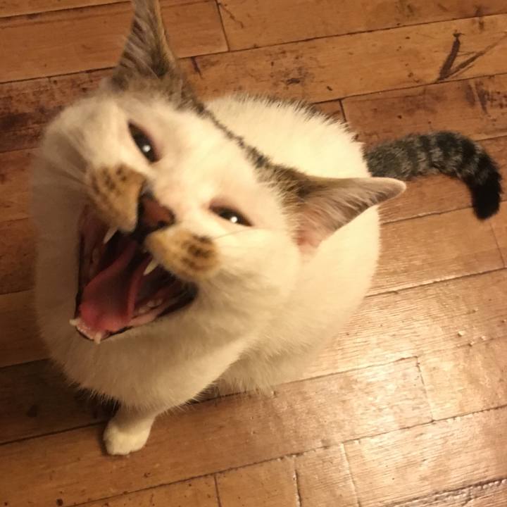 C3dfa763 e242 4711 b967 94845813eed7 1513464692694