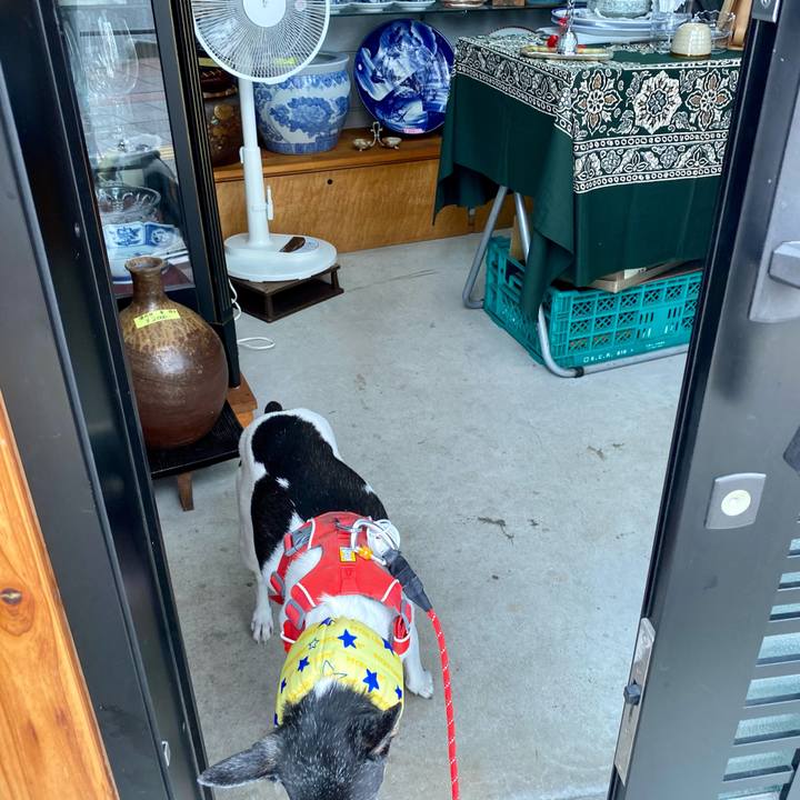 C3dfb780 5fce 41eb 9970 8f00bee3c818 1625908546284