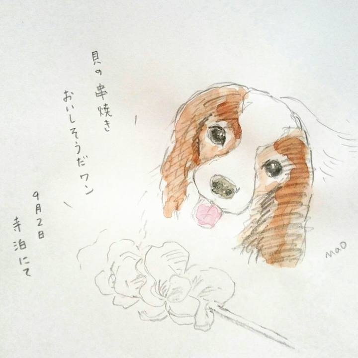 C3dfc974 8301 48bd 93e5 899590052443 1542436990507