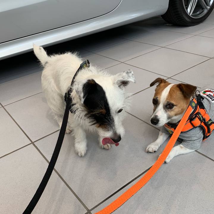 C3dfd263 5bf0 418d 9d6a b3f417084b1f 1560489423207